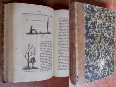 De la culture des arbres fruitiers 1854 & Manuel d'arboriculture comprenant l'étude des pépinières, la culture spéciale et la taille des arbres a fruits. 2 volumes. 1849 - 1850. — BIBLIOTHÈQUE RURALE PAR LE GOUVERNEMENT:
