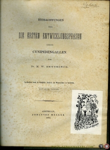 Beobachtungen über die ersten Entwicklungsphasen einiger Cynipidengallen — BEYERINCK, M.W.