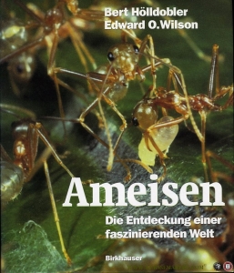 Ameisen. Die Entdeckung einer faszinierenden Welt — HÖLLDOBLER, Bert / WILSON, Edward O.