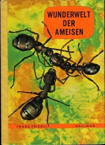 Wunderwelt der Ameisen — FRIEDLI, Franz