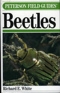 A Field Guide to Beetles of North America. — WHITE, Richard E.