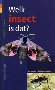 Welk insect is dat? 450 soorten - 670 kleurenfoto's — BELLMANN, Heiko