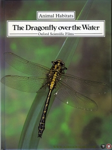 The Dragonfly over the Water. Animal Habitats. — O'TOOLE, Christopher