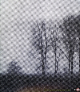 Mijn vlakke land My Flat Land (tweetalig: engels-nederlands) — SCHELFHOUT, Honoré (editor)