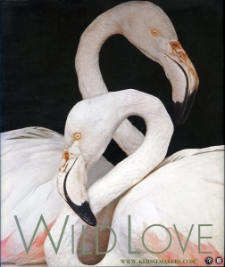 Wild Love — RICHARDSON, Nan / CHERMAYEFF, Catherine
