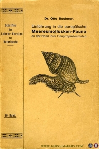 Einführung in die europäische Meeresmollusken-Fauna an der hand ihrer Hauptrepräsentanten — BUCHNER, Otto