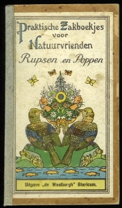 Rupsen en poppen — AA