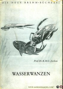 Wasserwanzen. Mit 24 Textzeichnungen — JORDAN, K.