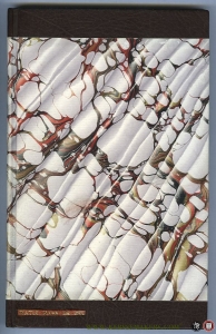 Water naar de zee (in geitenleer gebonden door Victor Wijnhoven) — BERTELS, Ignas