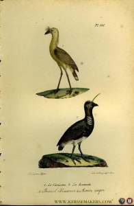 Braziliaanse kraanvogel / Amerikaanse reiger. Uit: Oeuvres complètes de Buffon suivies de ses continuateurs Daubenton, Lacépéde, Cuvier, Duméril, Poiret, lesson et Geoffroy-St-Hillaire — BUFFON et DAUBENTON