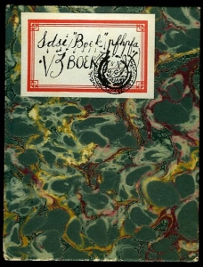 "Sdsi ""Boek"" pfhpfa - V3 Boek (tekst en tekeningen)" — VROMAN, Leo