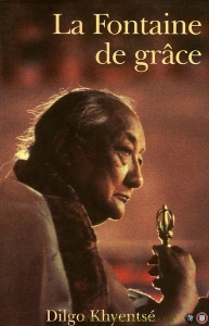 La Fontaine de Grace. La pratique du yoga du maître selon la tradition de l'Essence du coeur de l'immensité — Dilgo Khyentse Rinpoche