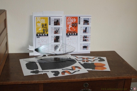 2 bouwplaten van insecten: Cryptotympana takasagona (Male)- Gryllus bimaculatus (Male) — N/A