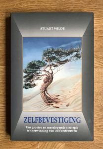 Zelfbevestiging. Een grootse en meeslepende strategie ter herwinning van zelfvertrouwen — Wilde, Stuart